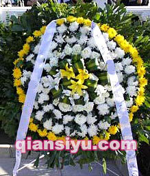 ԶȦ